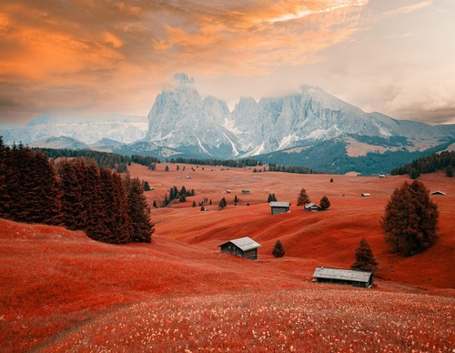 Gallery Of Photography By Paolo Pettigiani - Italy