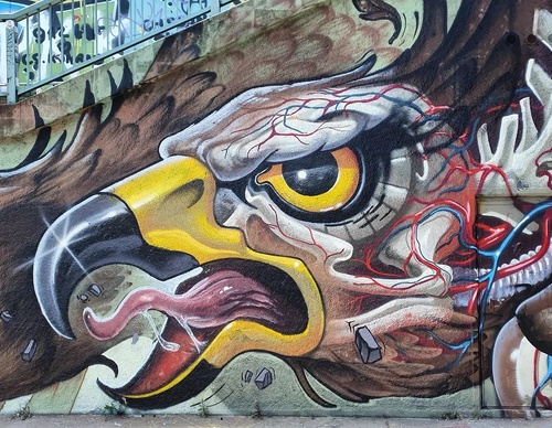 Gallery Of Street Art By Bailon - Brazil