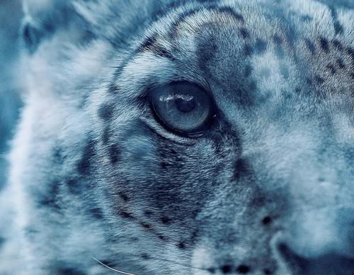 Gallery Of Photography By Chris Henry - USA