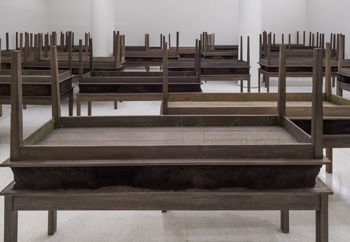 Galería De Arte Moderno De Doris Salcedo - Colombia