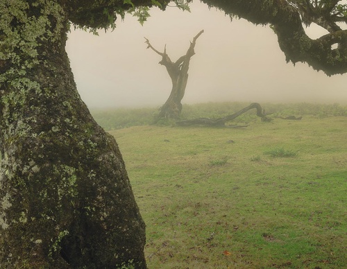Galería de fotografía de Jorge Reinaldo - Portugal