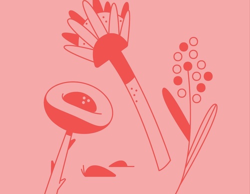 Gallery Of Illustration by Nora Gazzar- United Arab Emirates