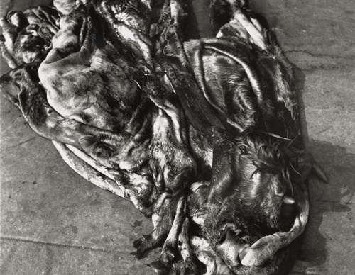 Galería de fotos de Henri Cartier-Bresson-30s y 40s