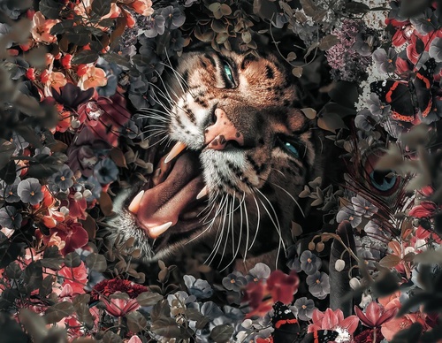 Galería de fotografías de Evgeny Gammer - Rusia
