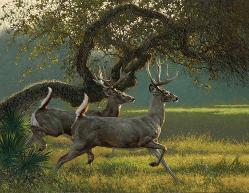 Gallery Of Painting By Greg Beecham - USA