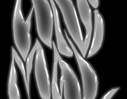 blank poster animal
