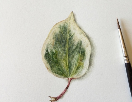 Gallery of Drawing by GiacoMina Ferrillo-Italy
