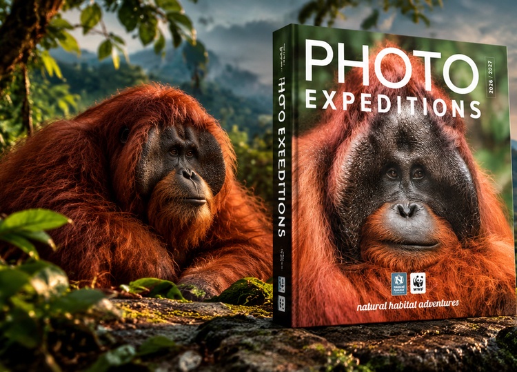 PHOTO EXPEDITIONS