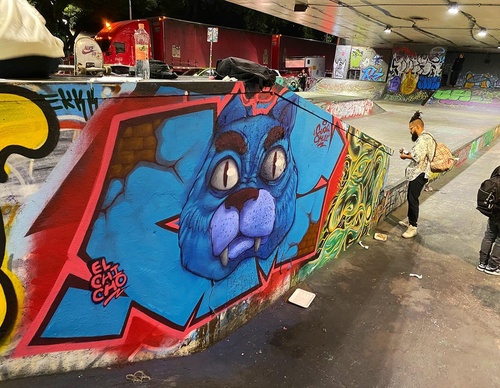 Gallery Of Street Art By Elchicho - Mexico
