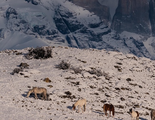 Gallery Of Photography By Timothy Dhalleine - Chile