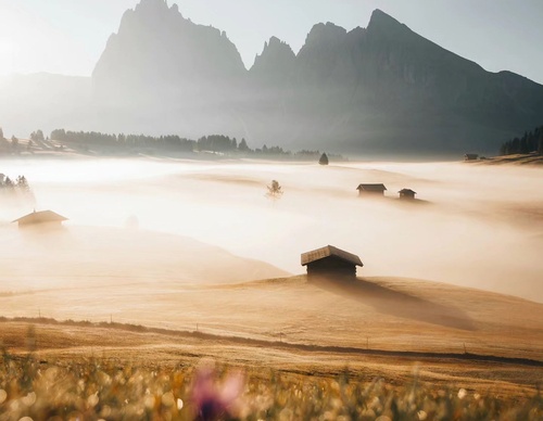 Galería de fotografía de Nico Brugger - Alemania