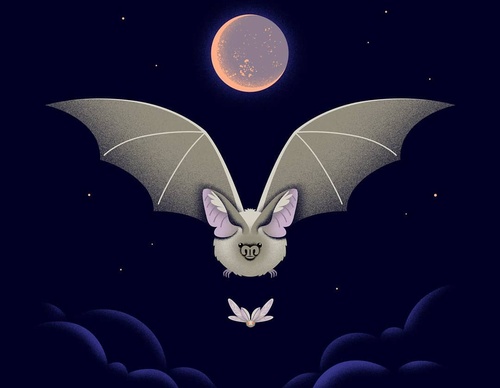 Gallery Of Illustration By Cat Finnie - England