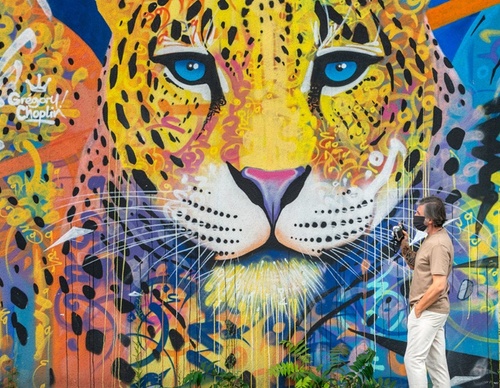 Examples of Street Art – Urban Art