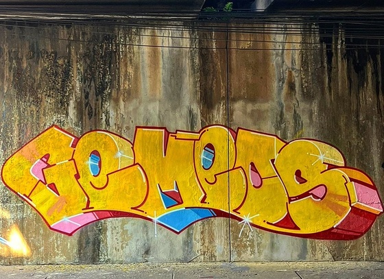 os gemeos
