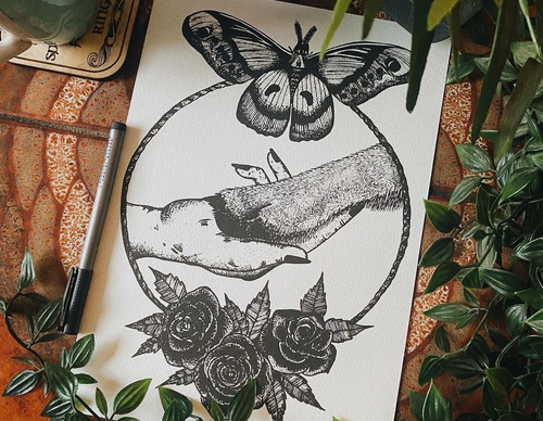 Galería de dibujos de The Little Wilderness - Inglaterra