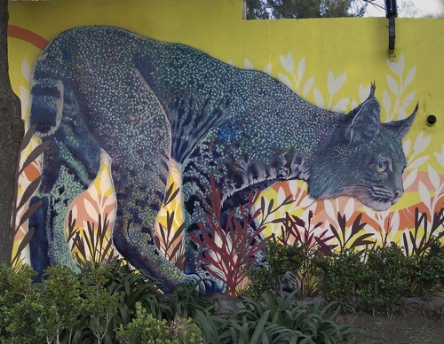 Galería de arte callejero de Nashi Bime - México