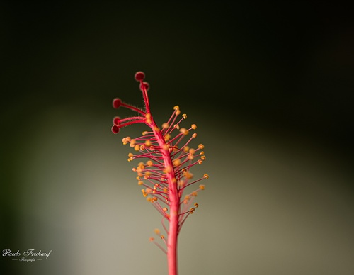 Gallery Of Photography By Norberto Kreutzer Fruhauf - Brazil