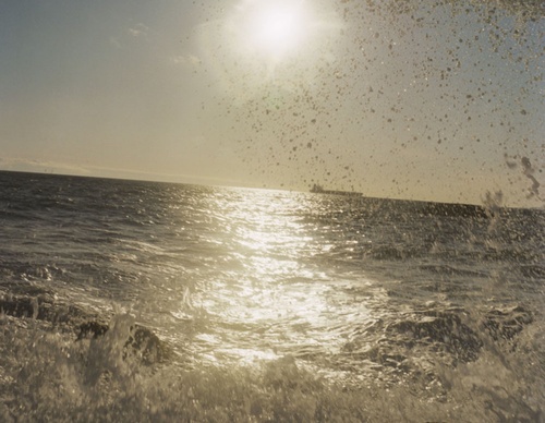 gregory halpern