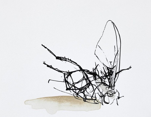 Gallery of Sculpture by Maria Rubinke-Denmark