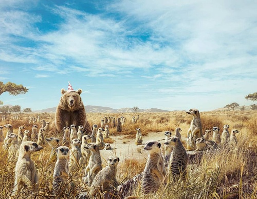 best ad photographers