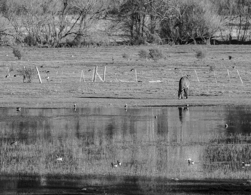 Galería de fotografía de Patricio Rodríguez - Argentina