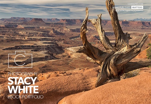 Fotografia de Stacy White