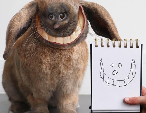 Gallery Of Modern Art By Al and Dom - England