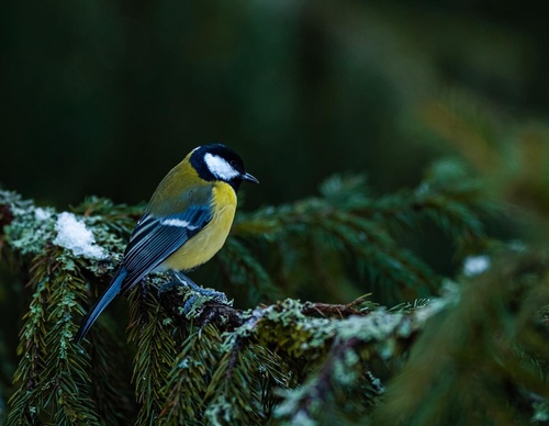 Gallery Of Photography By Alex Kydd - Australia