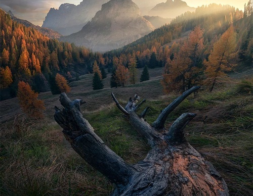 Gallery Of Photography By Max Rive - Netherlands