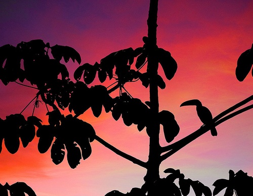 costa rica jim zuckerman