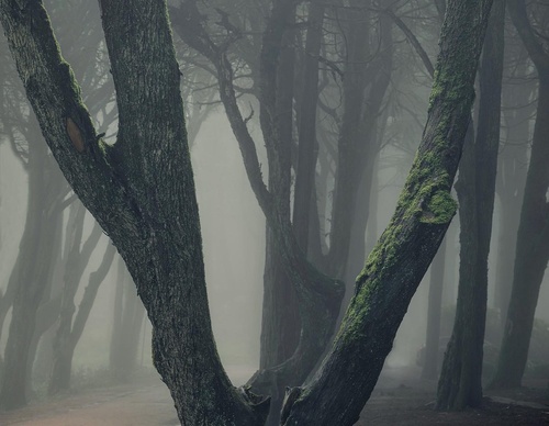 Galería de fotografía de Jorge Reinaldo - Portugal