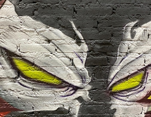 Gallery Of Street Art By Elchicho - Mexico