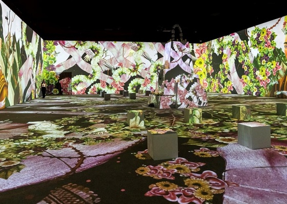 El placer de caminar dentro del ‘Diario’ de Frida Kahlo, en Maloka