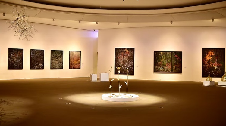 Muestra de Edo Costantini en el MAC Niterói de Brasil
