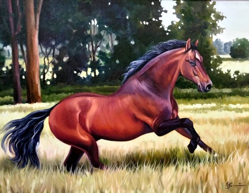 Gallery Of Painting By Aluizio Fernandes - Brazil