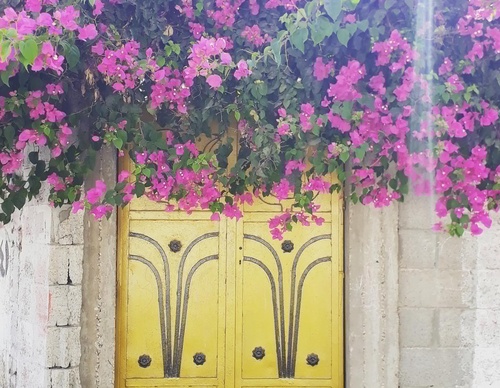 Galería de fotografía de puerta en Palestina