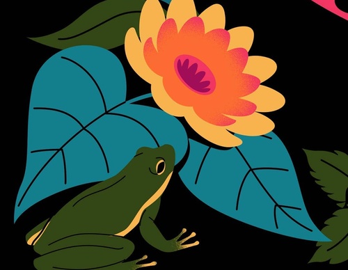 Gallery Of Illustration By Cat Finnie - England