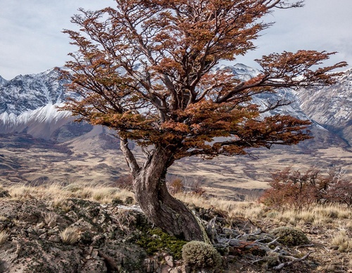 Galería de fotografía de Christian Aguirre Duffourc - Chile