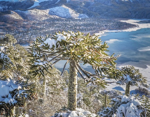 Gallery Of Photography By Fernando Gudenschwager - Chile