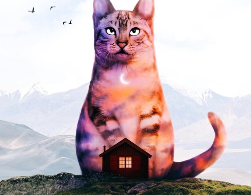 Galería De Ilustración De Luisa Azevedo - Portugal