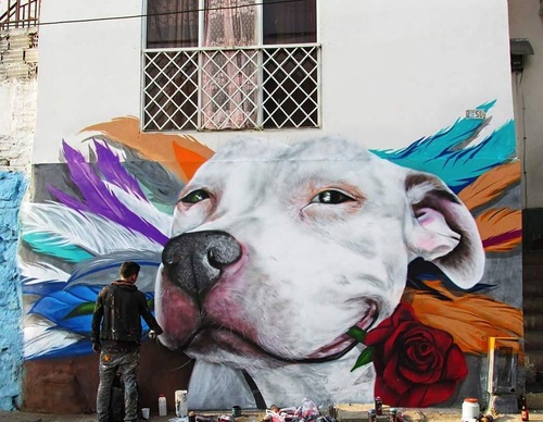 sebastian medina