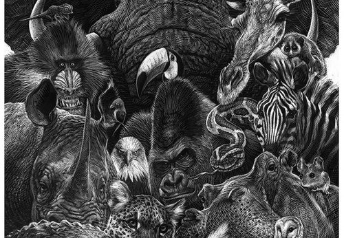 El Animal Ilustrado – Ricardo Martínez