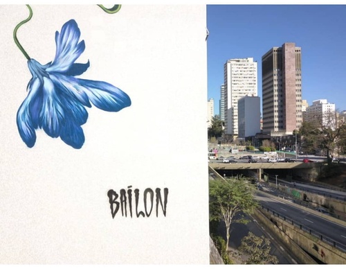 Gallery Of Street Art By Bailon - Brazil