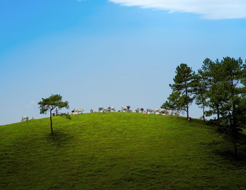 Gallery Of Photography By Ashik Aseem - India