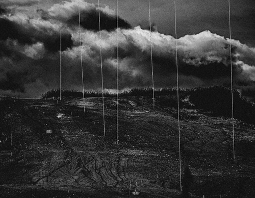 Gallery Of Photography By Marc Ferrez-Brazil