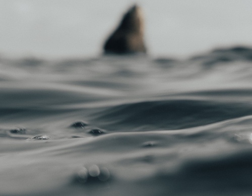 Galería de fotografías de Rob Ash - Inglaterra