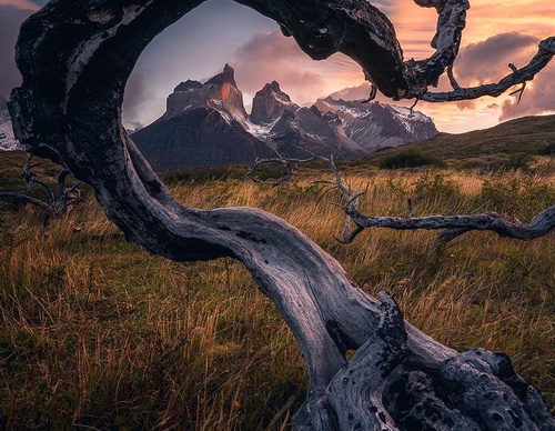 Gallery Of Photography By Marco Grassi - Argentina