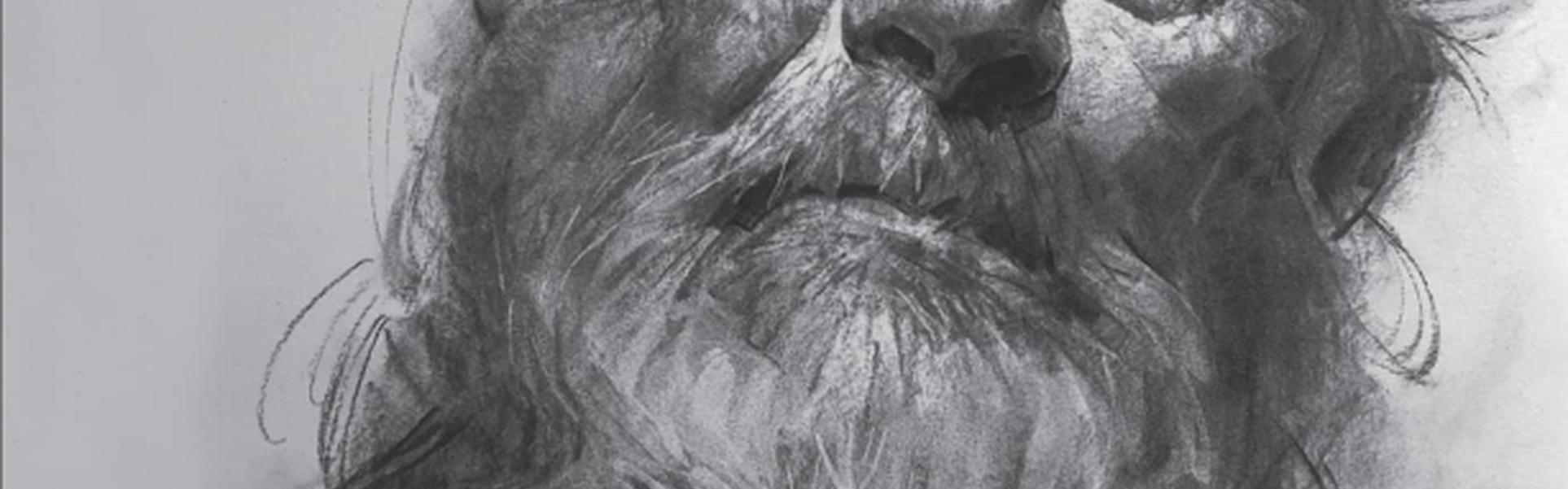 Facial Expressions for Artists: Techniques for Capturing Emotion and Mood in Portrait and Character Drawings by Oliver Sin