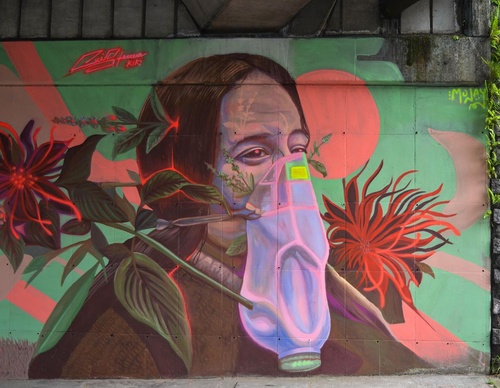 Gallery Of Street Art By Kiki - Brazil