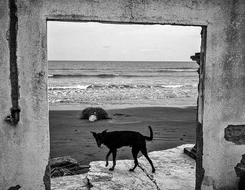 world press photo